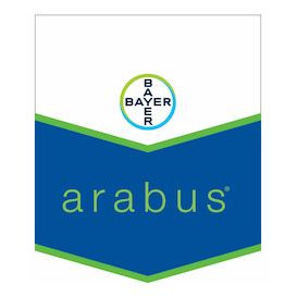 Arabus