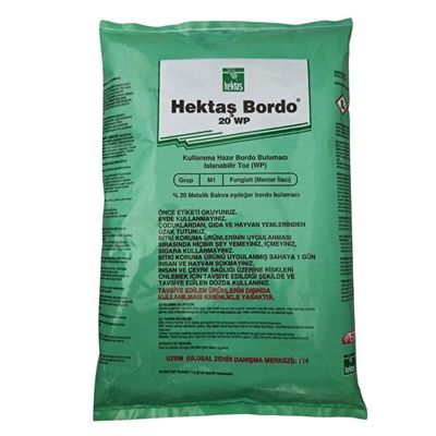 Bordo Bulamacı