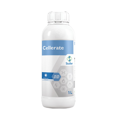 Stoller Celerate