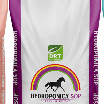 Hydroponica SOP WS