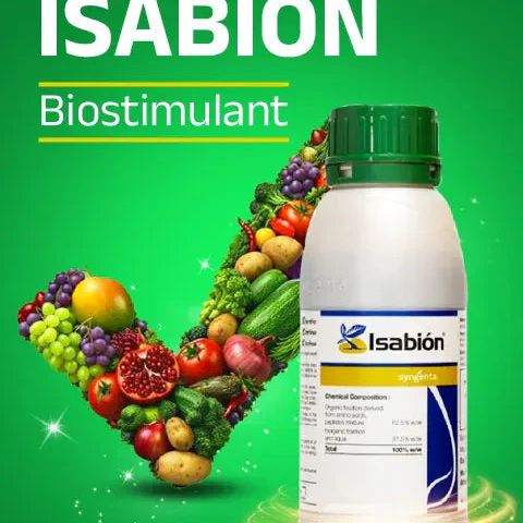 İsabion
