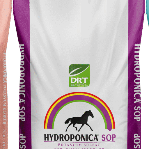Hydroponica SOP WS